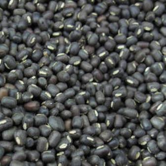 Black Grams (Urad)